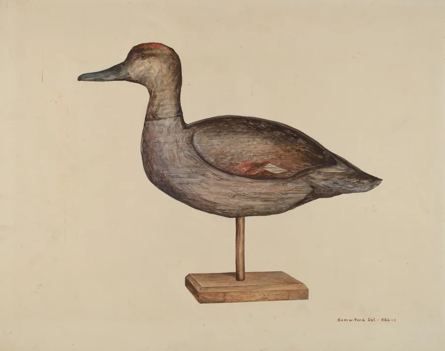 Gadwall Decoy by Samuel W. Ford