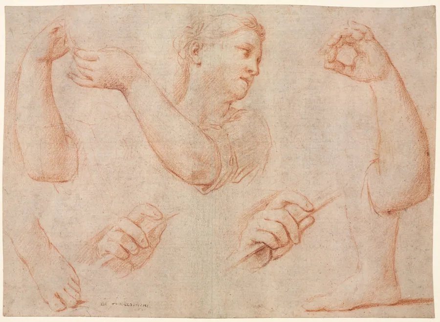 Study of a Young Woman Playing a Tambourine, and Studies of an Arm, Hands, and Feet (Studies for  "Miriam Leading the Chorus of Women Who Give Thanks for the Routing of Pharoah" by Marcantonio Franceschini