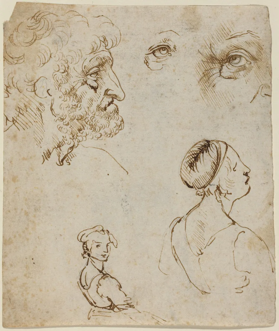 Sheet of Studies [recto] by Leonardo da Vinci