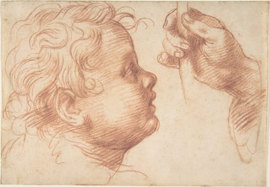 Studies of a Head and a Hand by Andrea del Sarto (Andrea d'Agnolo)