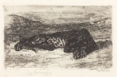 Tiger Sleeping in the Desert