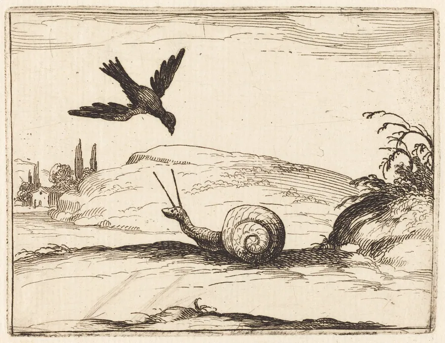 Crow and Snail by Jacques Callot