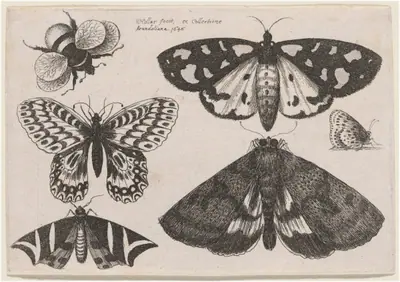 Three Moths, Two Butterflies, and a Bumble Bee