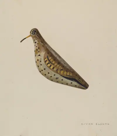 Decoy