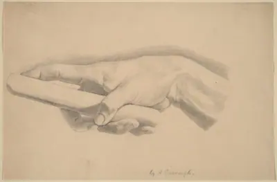 Study of a Hand