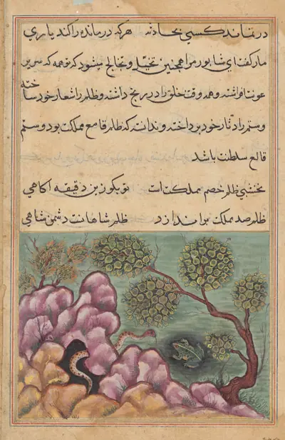 The dethroned frog Shapur seeks the help of the serpent, from a Tuti-nama (Tales of a Parrot): Twenth-sixth Night