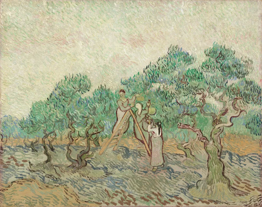 The Olive Orchard by Vincent van Gogh