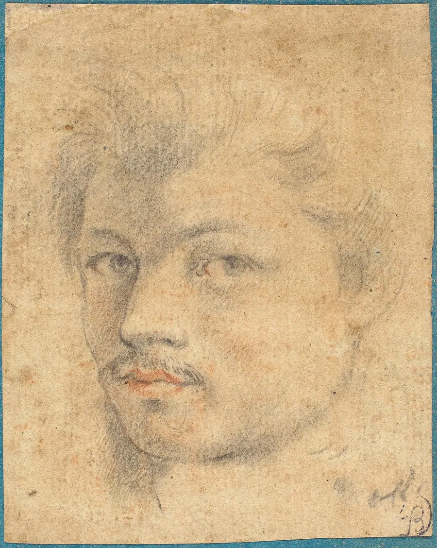 Head of a Man by French 16th/17th Century