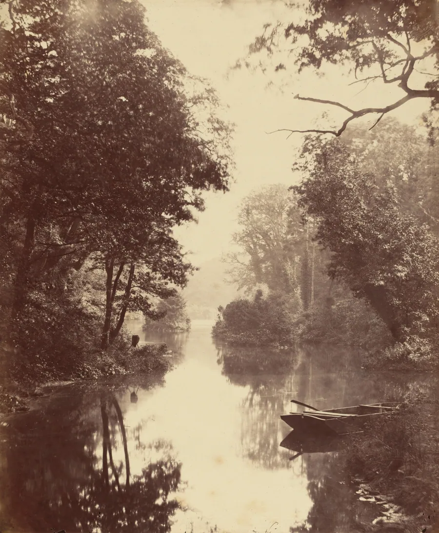 A Summer's Evening, Penllergare by John Dillwyn Llewelyn