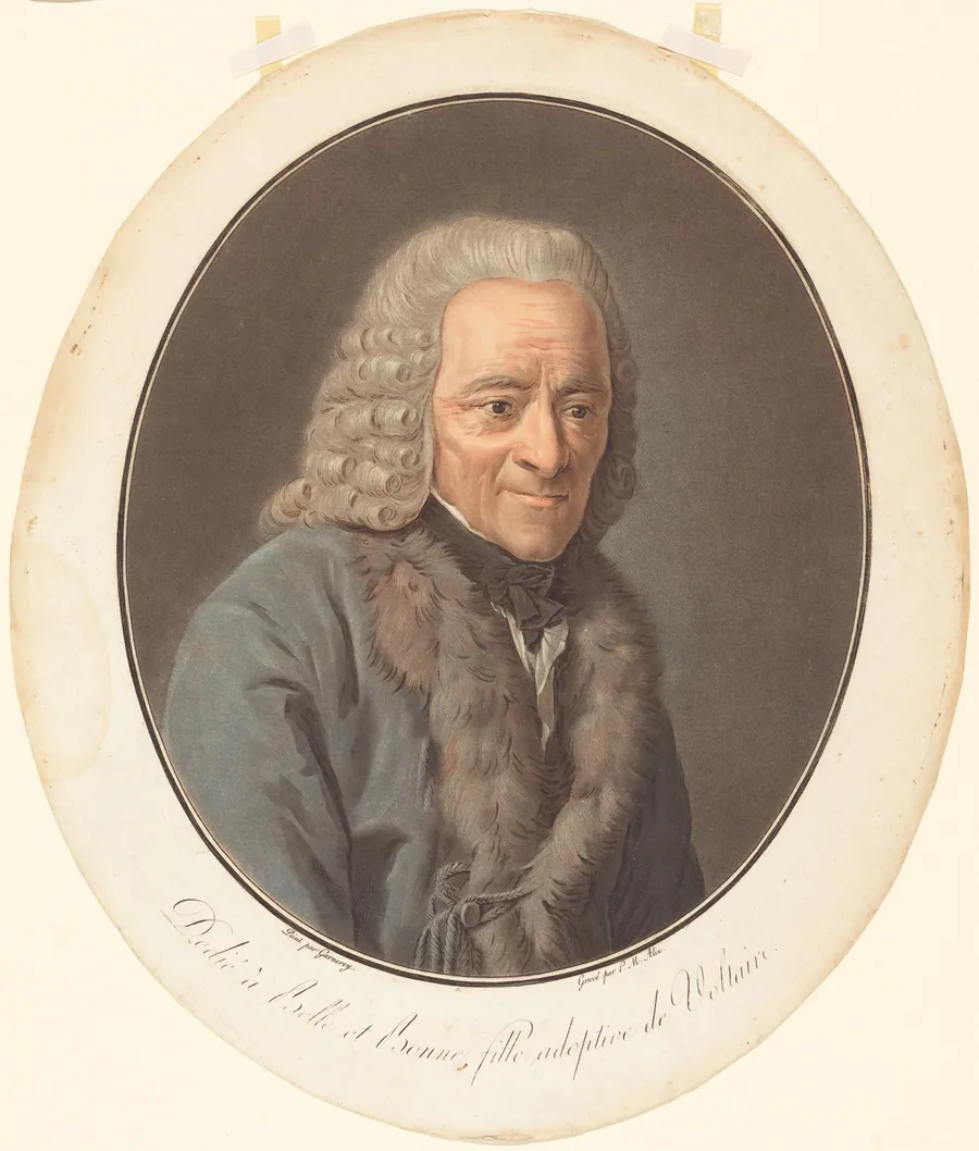 Voltaire by Pierre-Michel Alix