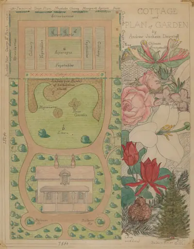 Ground Plan for Cottage