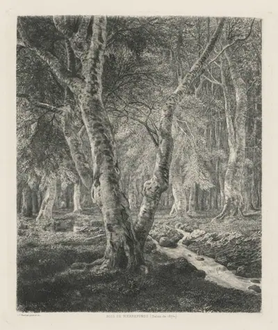 Bois de Pierrefonds