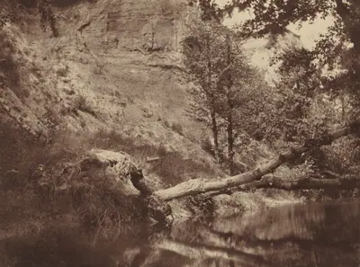 Riverbank