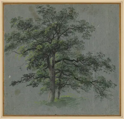 Two Trees (recto)