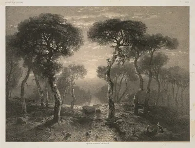 Oeuvres de A. Calame, No. 13: Forêt de Sierre en Valais