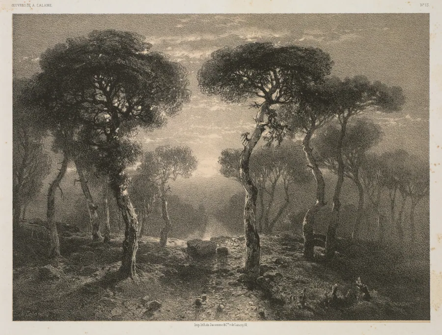Oeuvres de A. Calame, No. 13: Forêt de Sierre en Valais by Alexandre Calame
