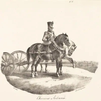 Cheveaux des Ardennes