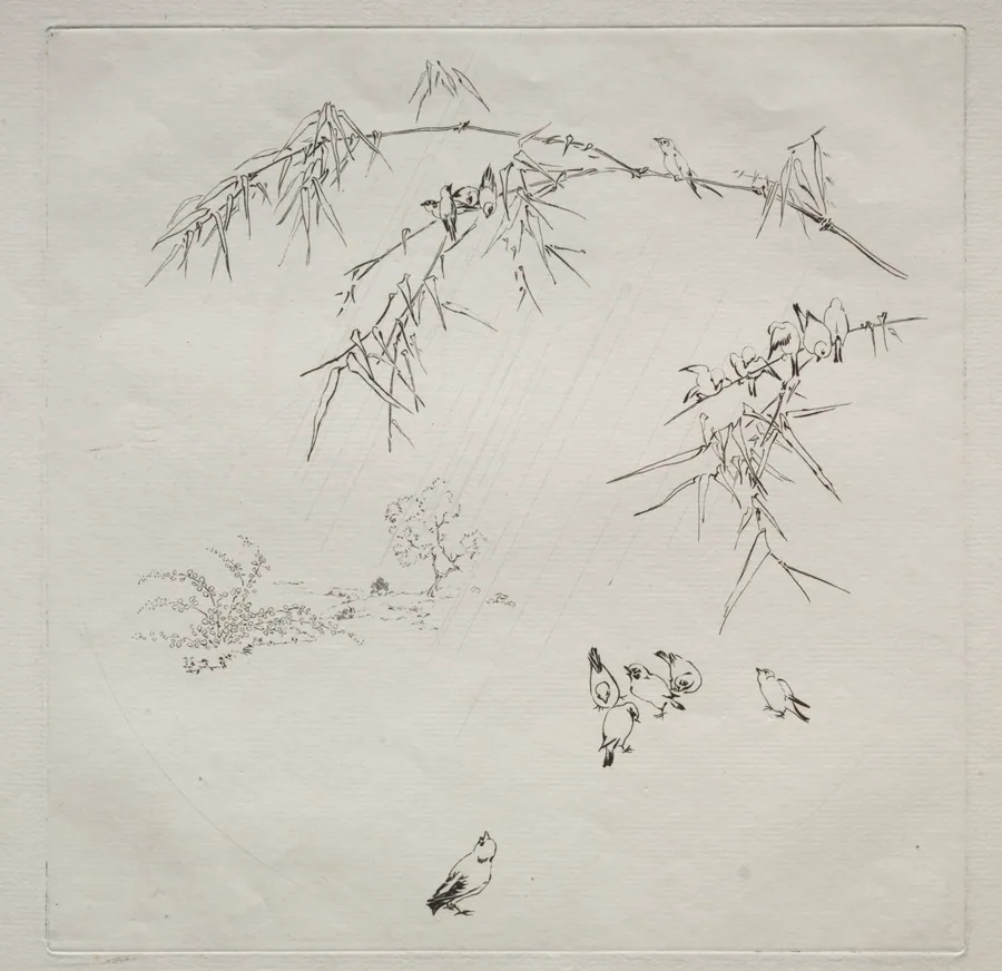 Parisian Service (Haviland service): Rain (no. 10) by Félix Bracquemond