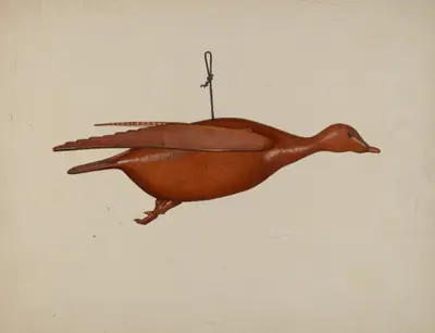 Flying Duck