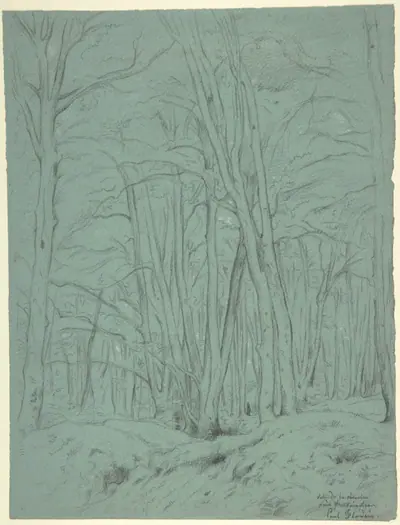 Forest View Near Fontainebleau
