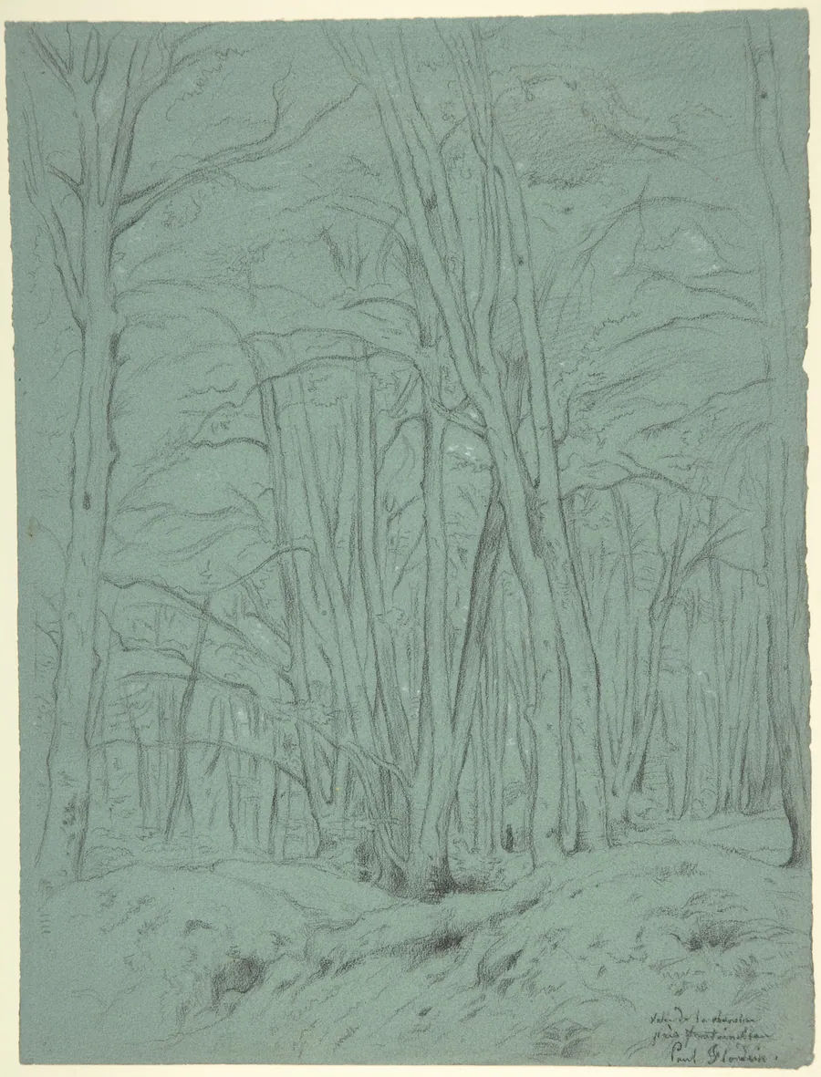 Forest View Near Fontainebleau by Paul Flandrin