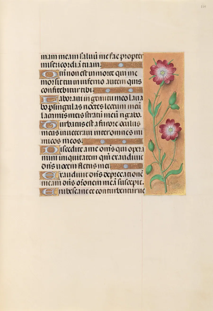 Hours of Queen Isabella the Catholic, Queen of Spain:  Fol. 229r by Master of the First Prayerbook of Maximillian