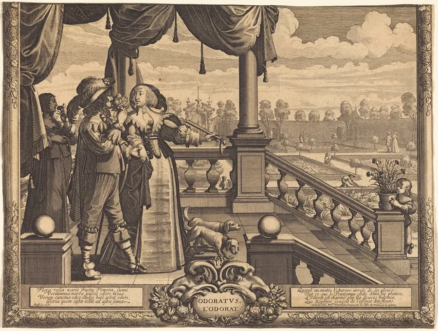 Odoratus, L'Ordorat by Abraham Bosse