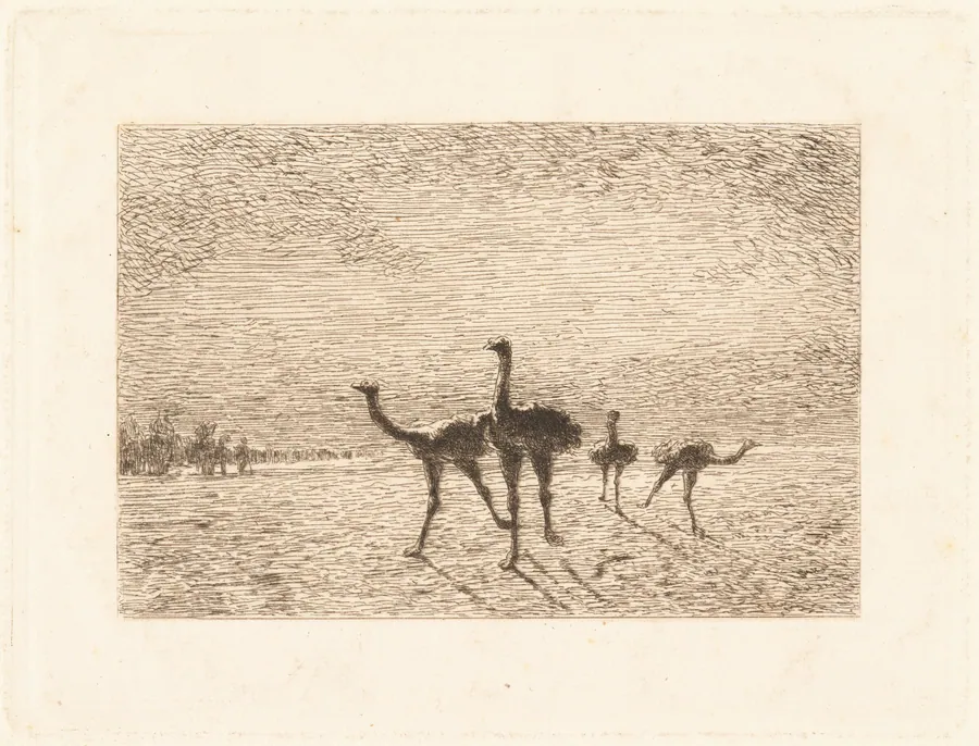 Ostriches in the Desert by François-Nicolas Auguste Feyen-Perrin