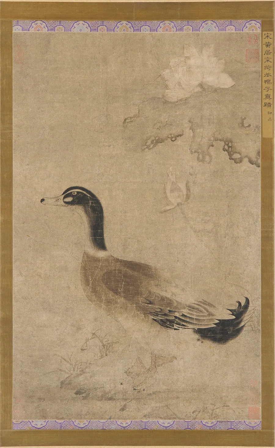 Drake and lotus flowers by Formerly attributed to Huang Jucai (933-after 993)