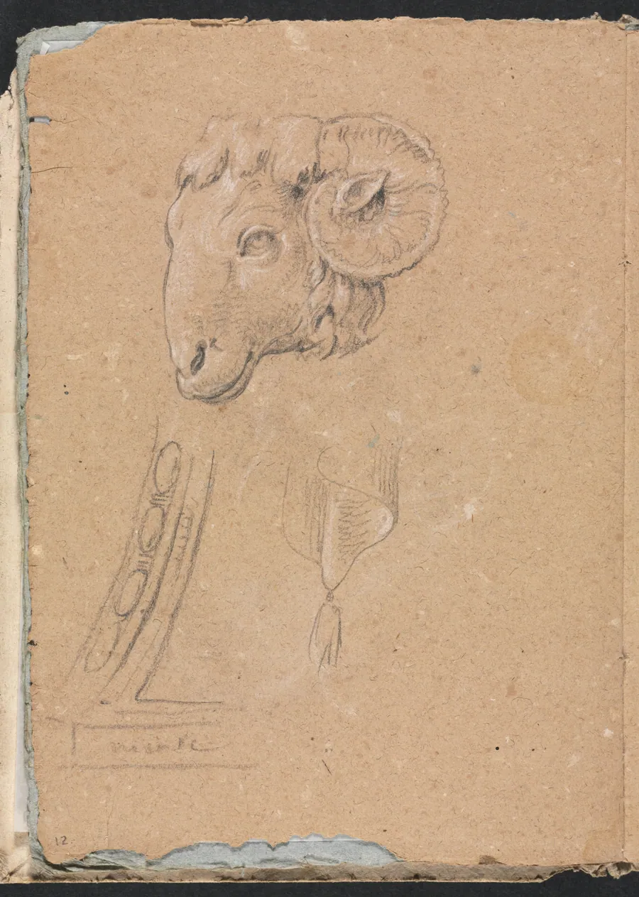 Verona Sketchbook: Ram's head (page12) by Francesco Lorenzi