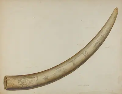 Scrimshaw: Walrus Tusk