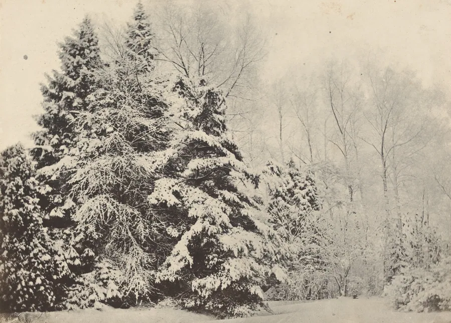 Paysage de sapins sous la neige by Baron A. Fays
