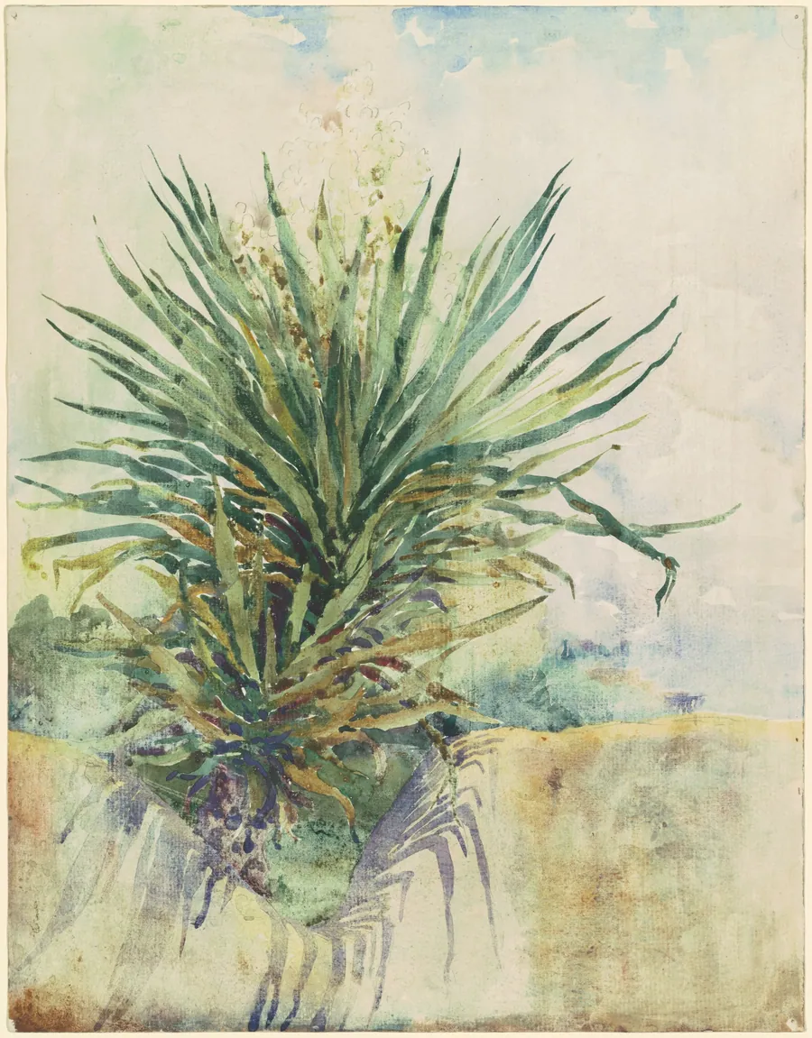 Tropical Plant [recto] by Jane C. Stanley