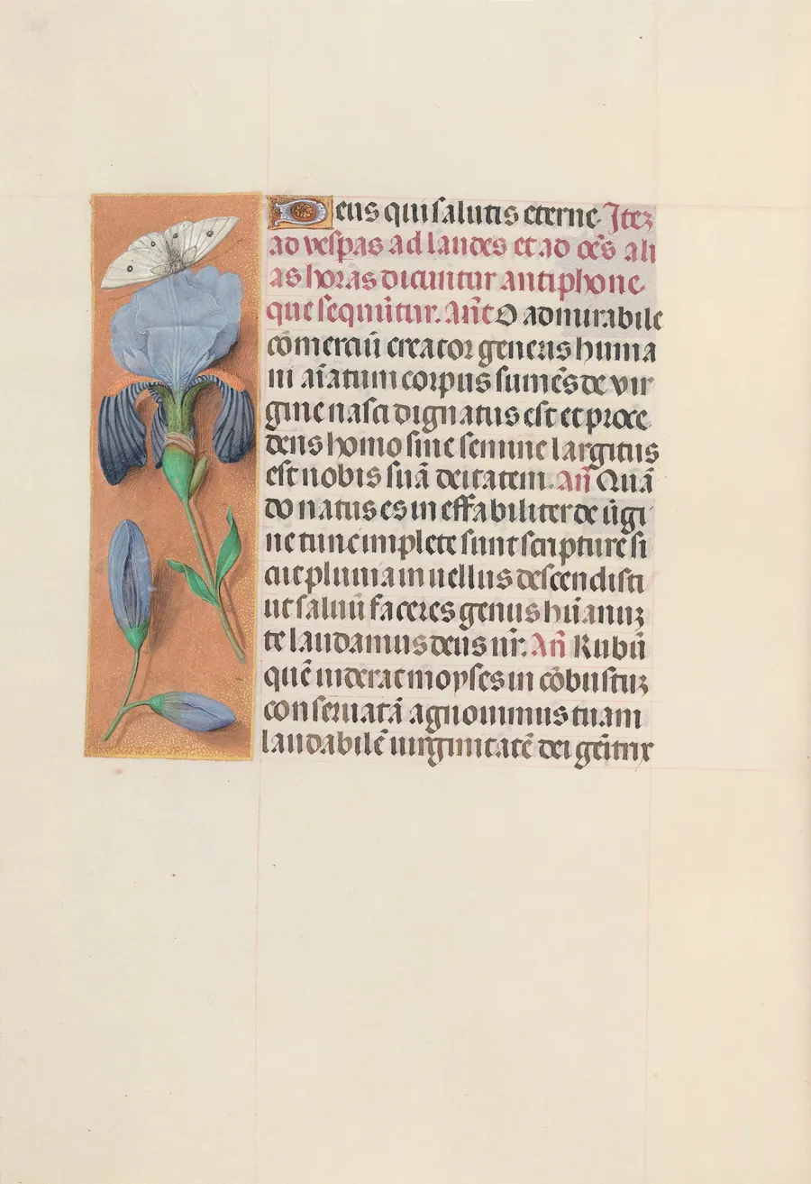 Hours of Queen Isabella the Catholic, Queen of Spain:  Fol. 165v by Master of the First Prayerbook of Maximillian