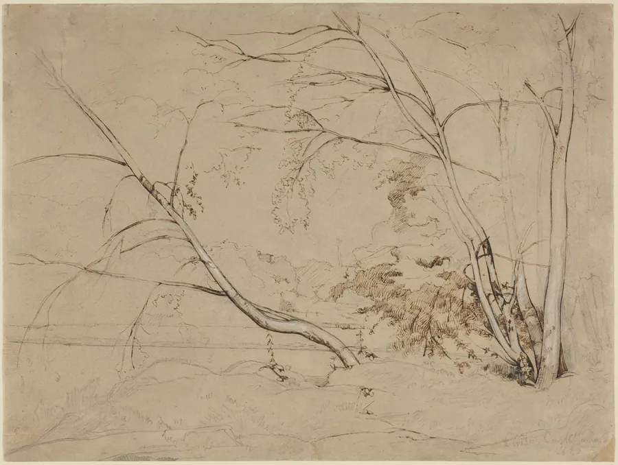 Clump of Trees at Civita Castellana by Jean-Baptiste-Camille Corot