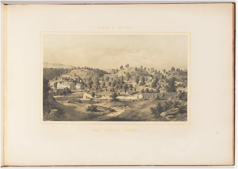 Salt Sulphur Spring by Edward Beyer