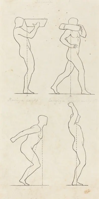 Bearing a Weight; Preparing to Jump, and Alighting