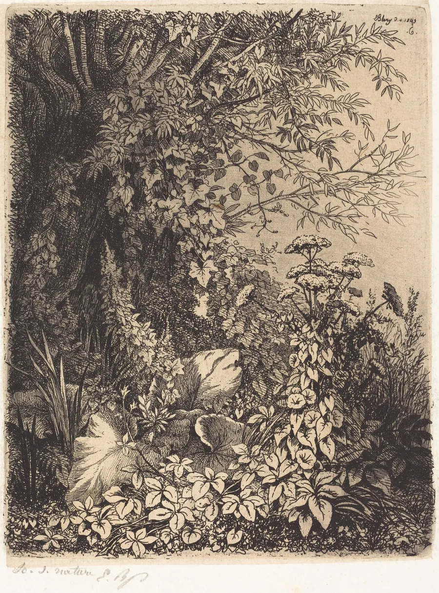 La bardane au saule (Burdock with Willow) by Eugène Bléry