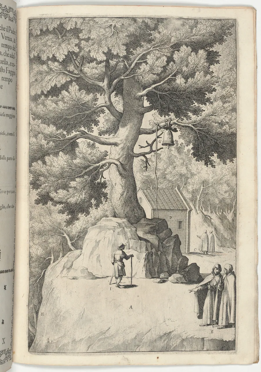 Beech Tree with the Bell (Faggio della campana) [plate X] by Jacopo Ligozzi