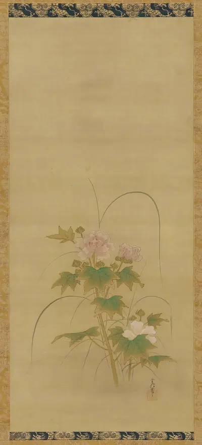 Hibiscus (part of a set, F1904.379-381)