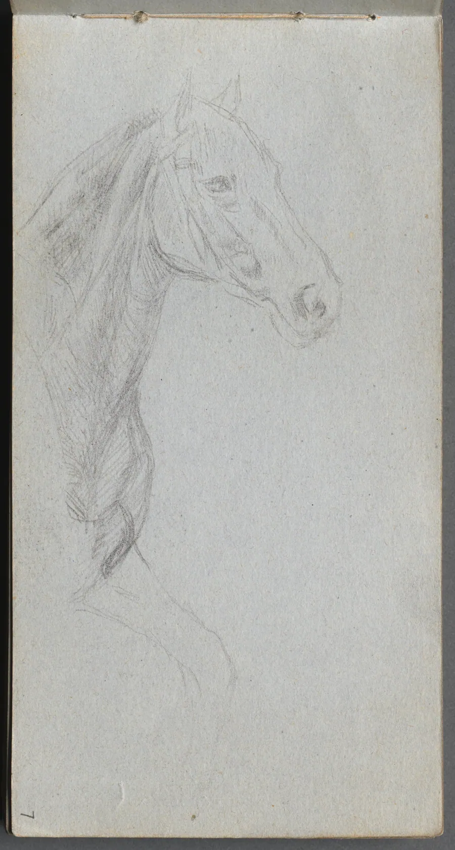 Sketchbook, page 7: Study of a Horse by Ernest Meissonier