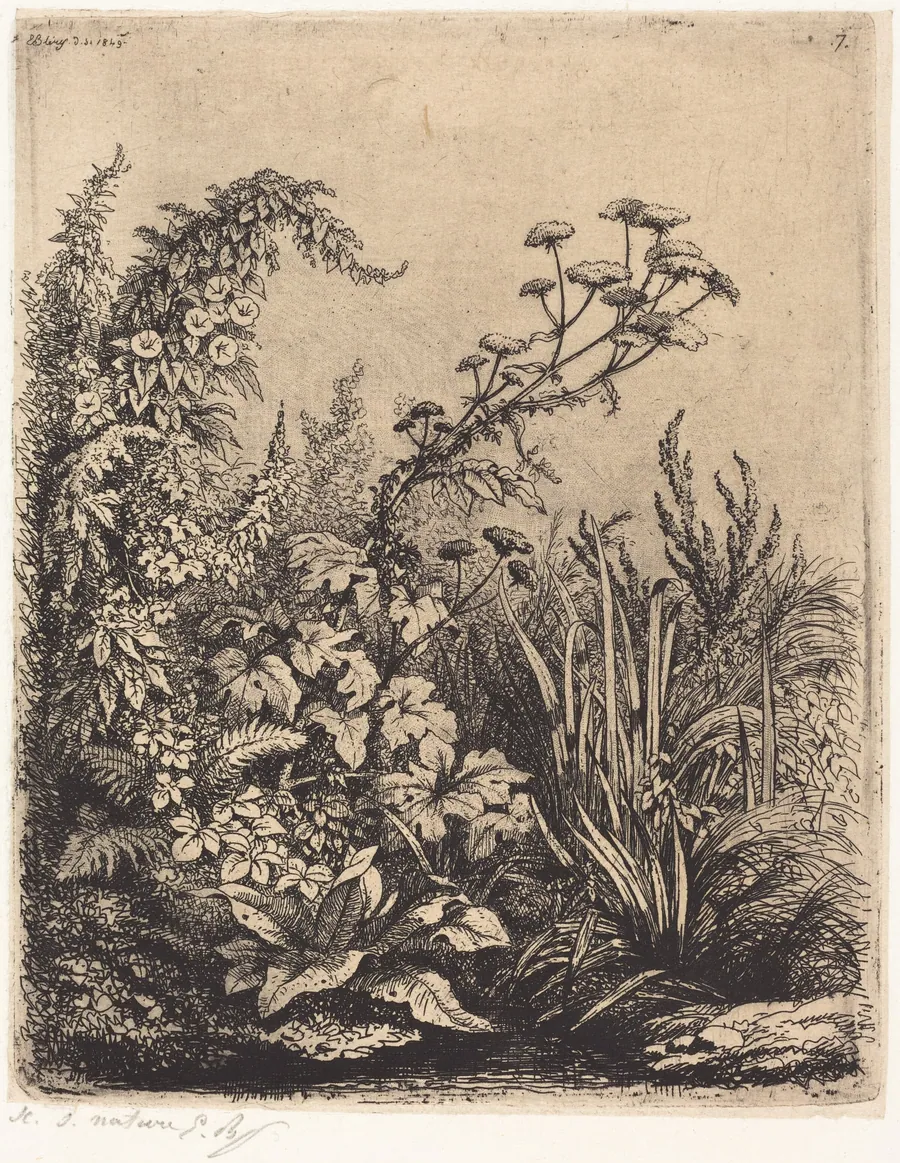 La petite berle aux liserons (Small Water-parsnip with Bindweed) by Eugène Bléry
