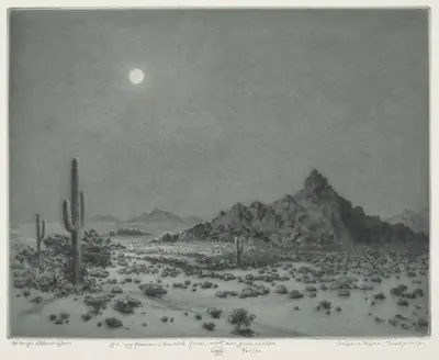 Arizona Night