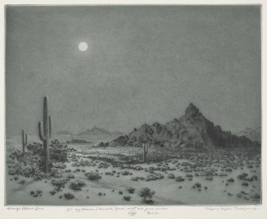 Arizona Night by George Elbert Burr