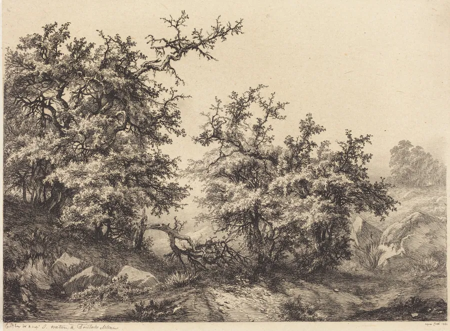 Thornbushes by Eugène Bléry