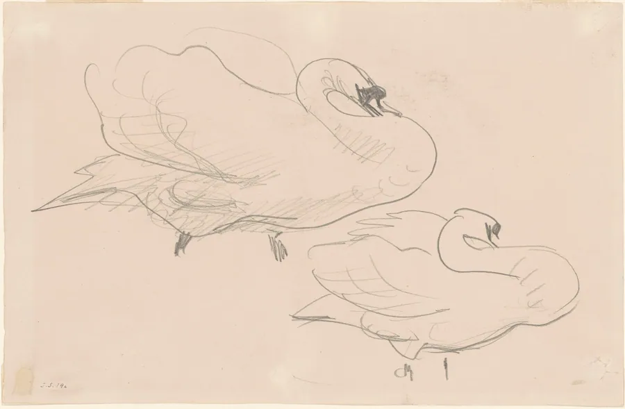 Studies of a Swan by John Singer Sargent