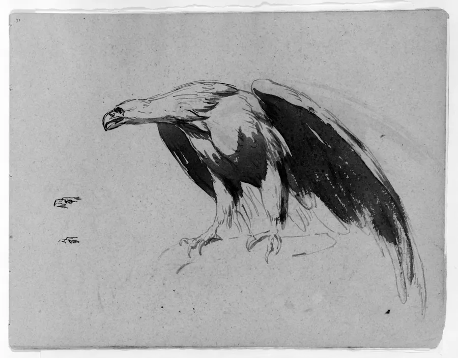 Eagle (from Sketchbook) by Thomas Sully