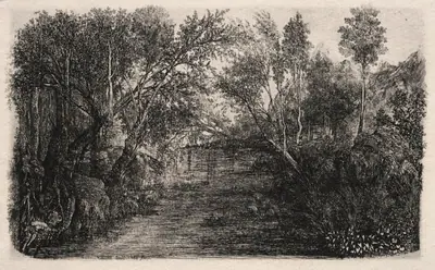 The Stream
