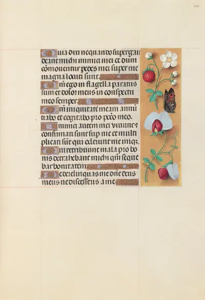 Hours of Queen Isabella the Catholic, Queen of Spain: Fol. 204r