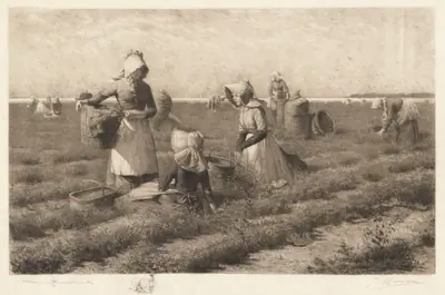 Cranberry Pickers